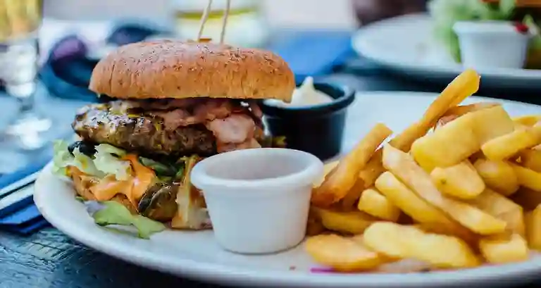 The Burguer House a Domicilio The Burguer House