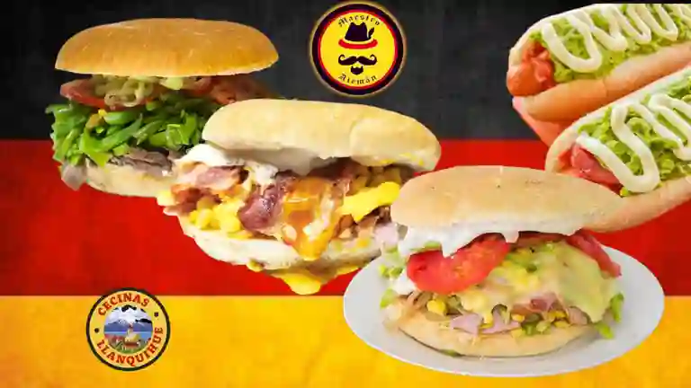 Maestro Aleman a Domicilio Maestro Aleman