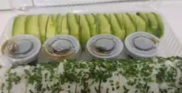 Sushifusion Placeres Eventos