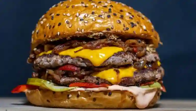 Burger Chicken And Meat