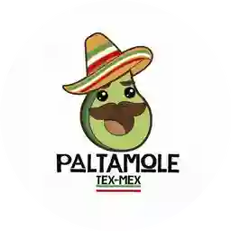 Paltamole Tex Mex a Domicilio