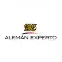 Alemán Experto - Lo Barnechea