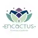 Encactus - Valparaíso