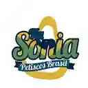 Tia Sonia Brasil