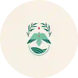 Mystic Green Coffee a Domicilio