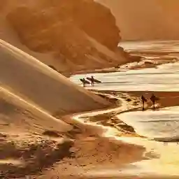 Puerto Malabrigo Cevicheria a Domicilio