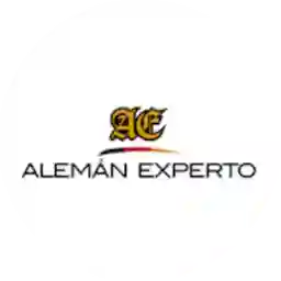 Aleman Experto - Nueva Providencia a Domicilio