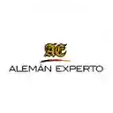 Alemán Experto - Santiago