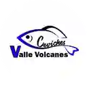 Ceviche Valle Volcanes