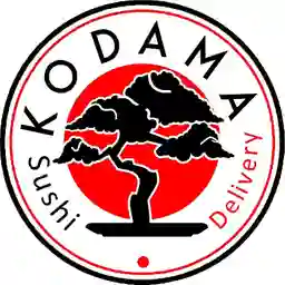 Kodama Sushi  a Domicilio