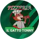 Il Gato Tonny