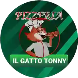 Il Gato Tonny a Domicilio