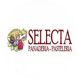 Pasteleria Selecta a Domicilio