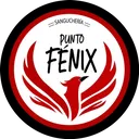 Punto Fénix