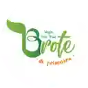 brote de primavera arauco