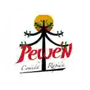 Pewen Pm