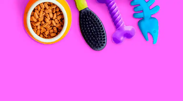 Gpet - Providencia a Domicilio