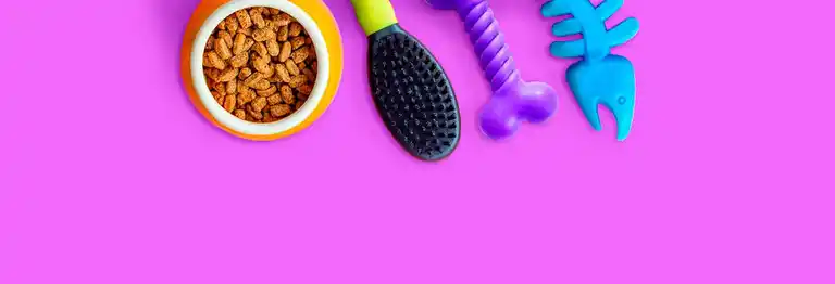 Kundi Pets a Domicilio