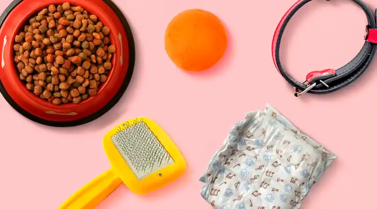 Puppies And Kittens Egaña a Domicilio